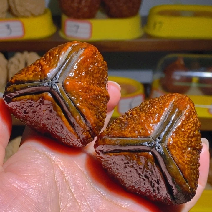 野生三花大橄榄雷公核地闷5460