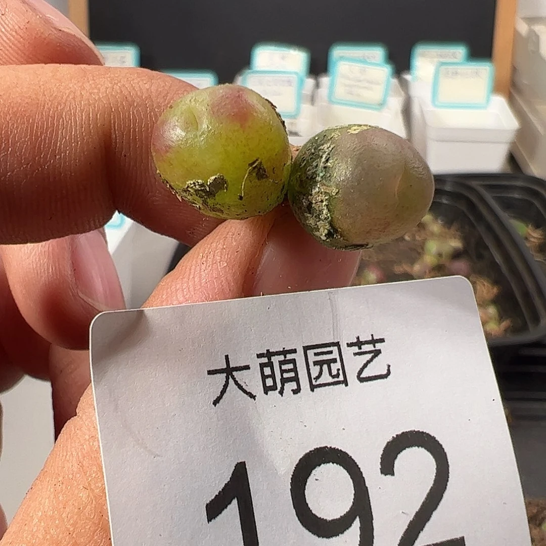 0000192 一物一拍……