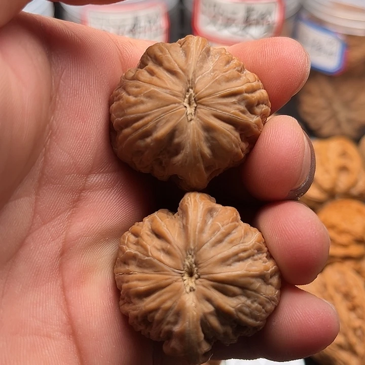 文玩核桃把件铁锤3537