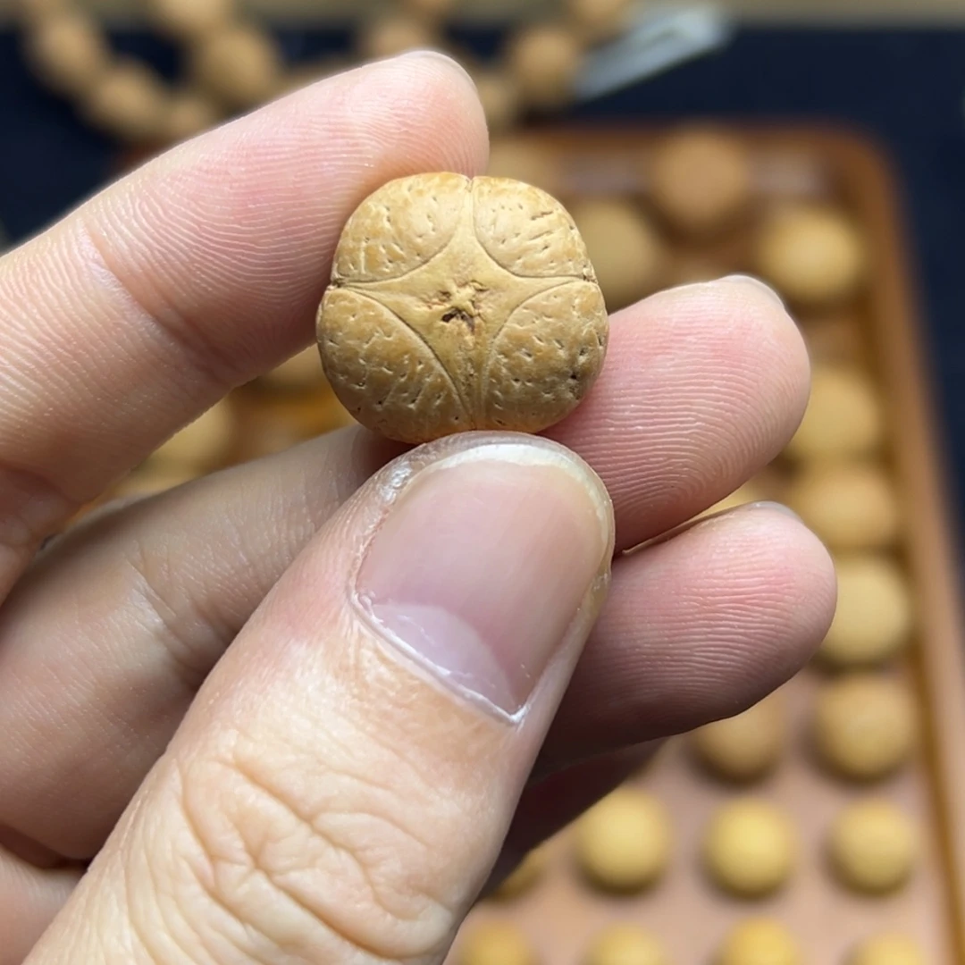 凤眼菩提手串18.9麒麟眼