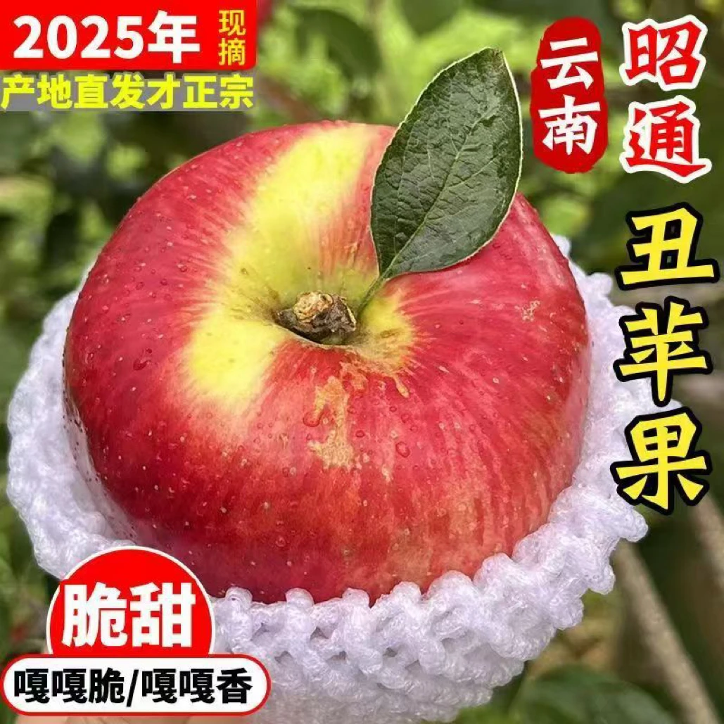 正宗云南昭通冰糖心丑苹果冰糖心苹果新鲜现摘脆甜多汁水果篮板vs