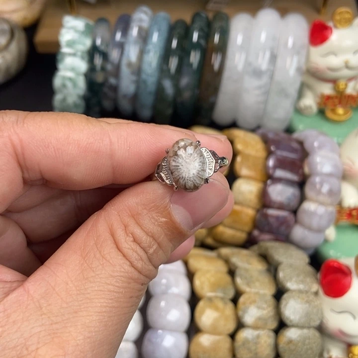 未镶嵌手链硅化珊瑚（珊瑚玉）