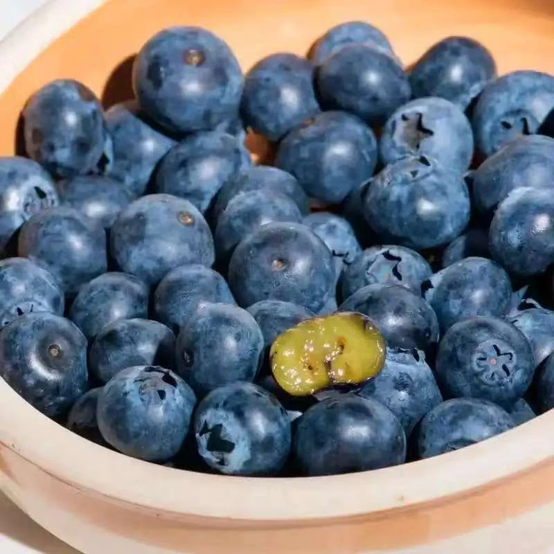 新鲜蓝莓九甜一酸/盒装蓝莓同城送山东省