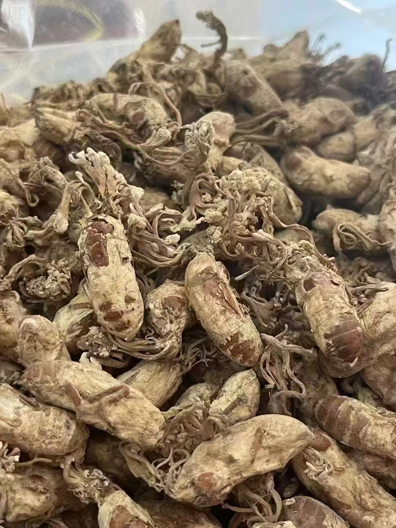 精选禅花 可煲汤