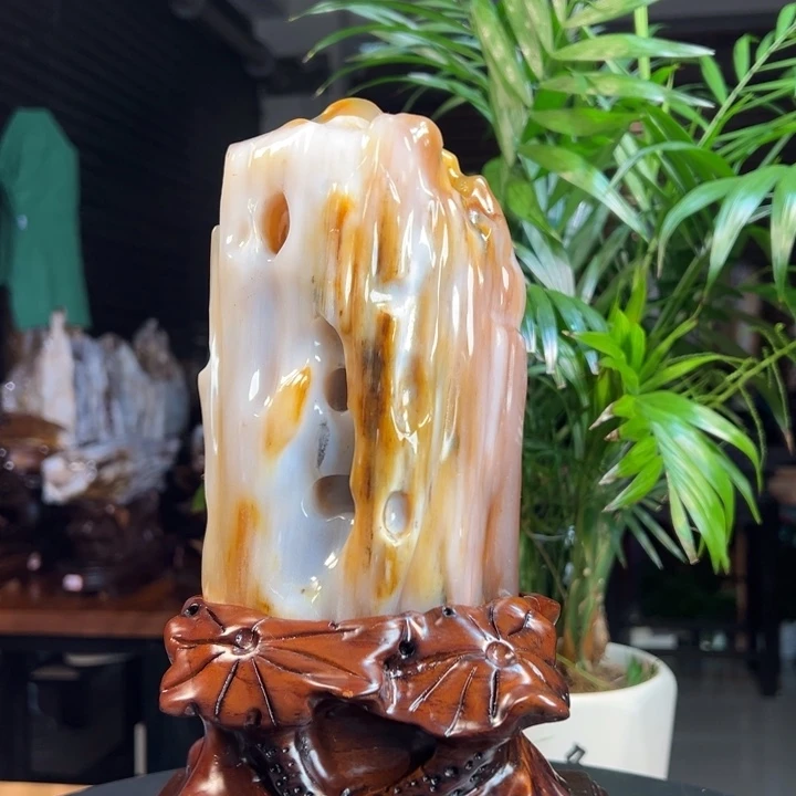 硅化玉（树化玉）未镶嵌珠宝奇石