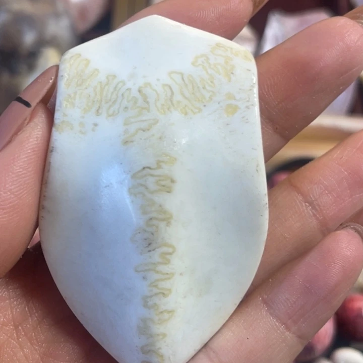 风***雨养殖鹿骨三界牌子