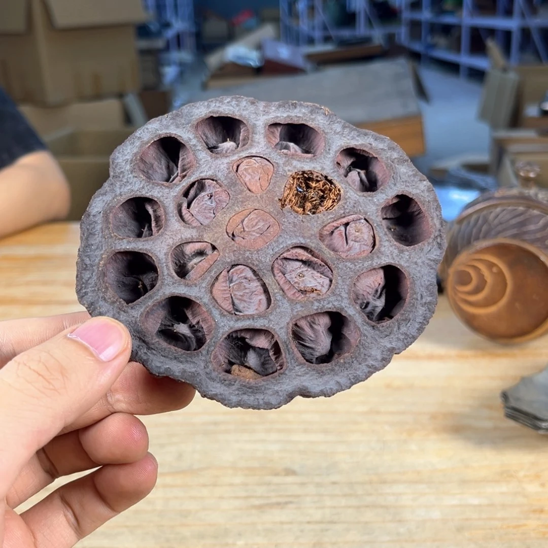 我不在这里干咯么不