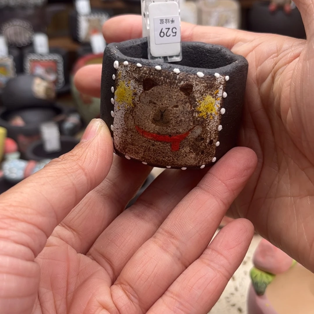 红陶529卡皮吧啦现货