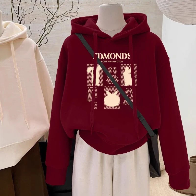 设计感小众秋冬新款2025加绒加厚套头连帽卫衣女韩版宽松外套潮