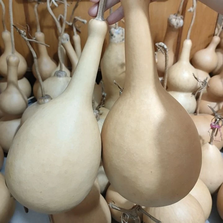 龙***虽藤家居饰品家居饰品