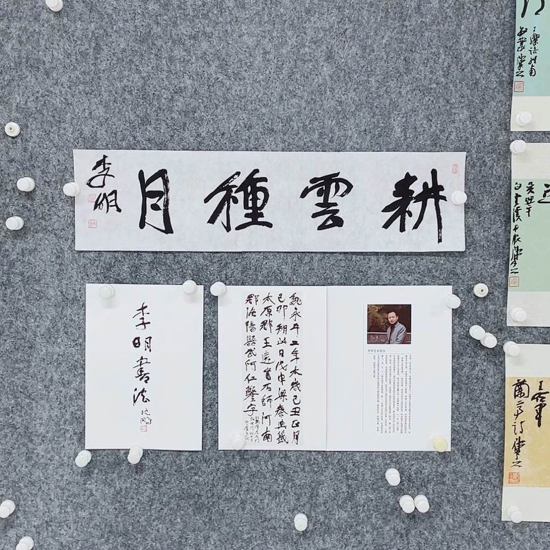 书法半醒斋书法作品