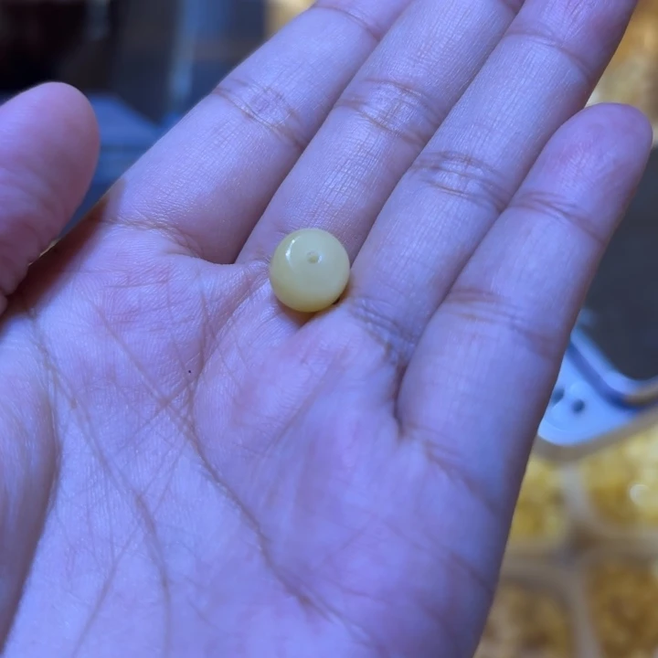 金****蜜蜡颈饰未镶嵌蜜蜡