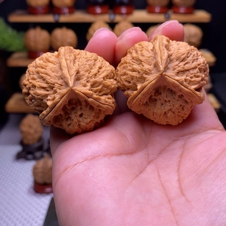 核桃云铁凌云三棱23号