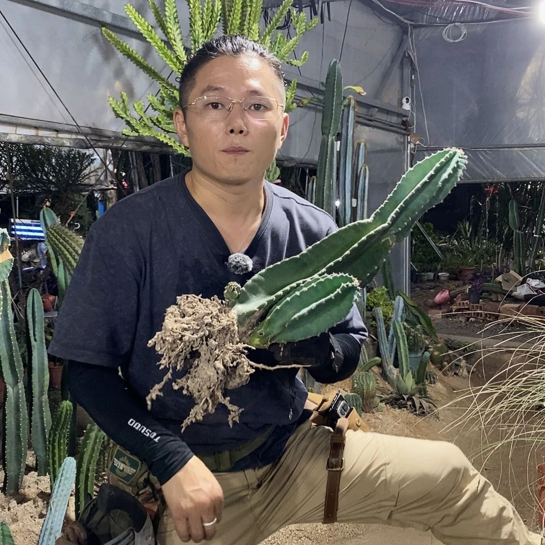 远***方8号秘鲁苹果。
