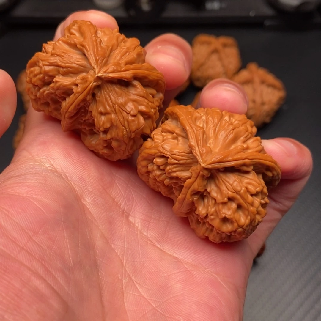 猫头鹰孤品尺寸41