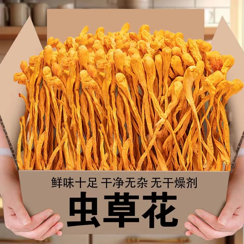 【今年新货】新鲜干货虫草花特产食用菌菇金虫草蛹虫草煲汤营养美味
