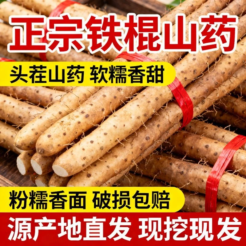 铁棍山药粉糯香甜特价新鲜现挖好吃软糯优选净重五斤30-40厘米