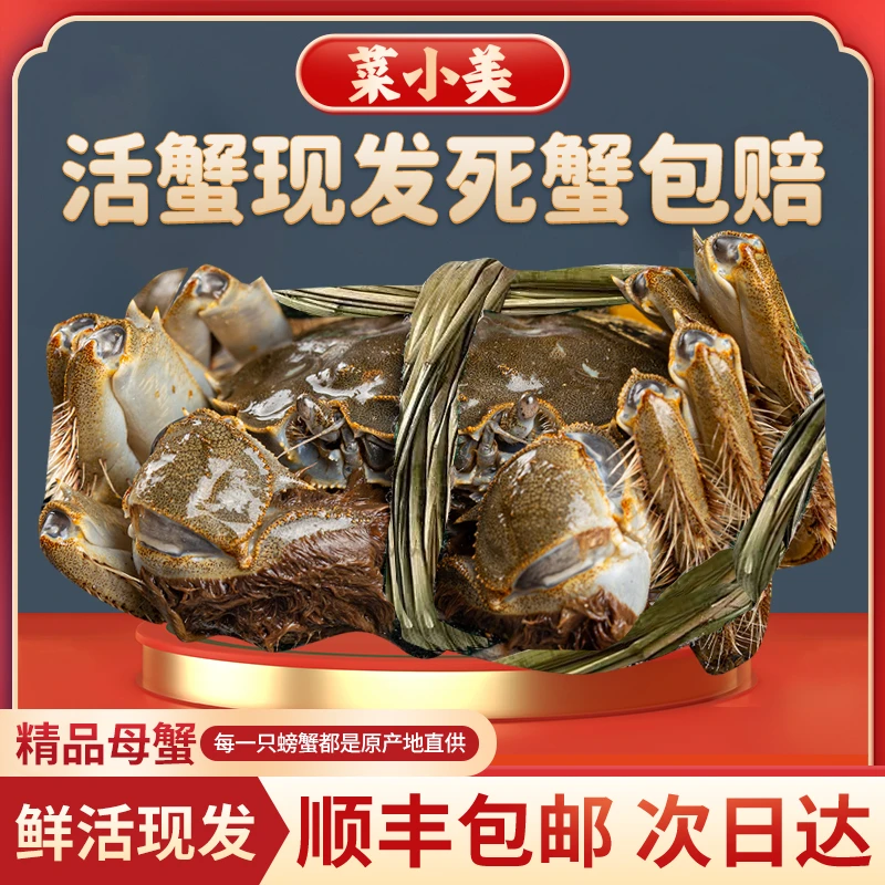 【活蟹】江苏精品大闸蟹母蟹 3.3-3.5两10只   顺丰包邮 活蟹现发死蟹包赔