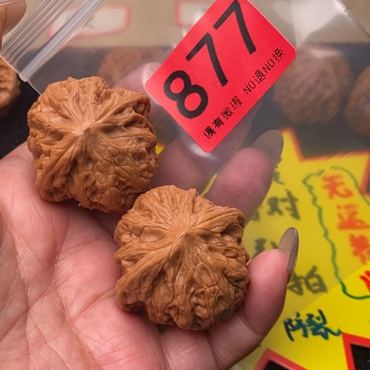 铁锤41尺877号瑕疵虫