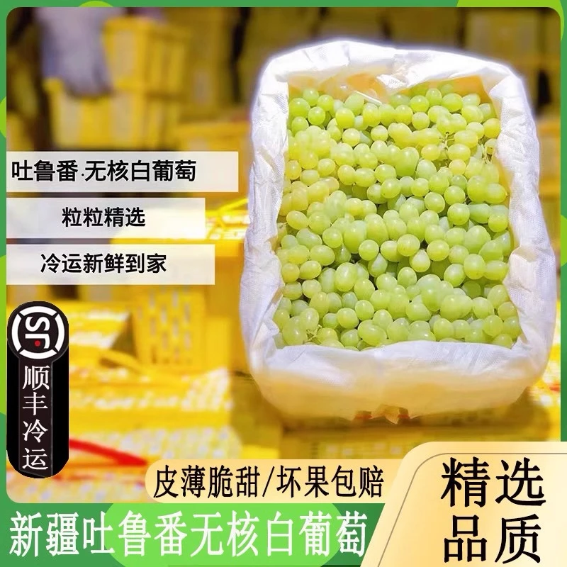 【买3斤送2斤】｜新疆无核白葡萄 新疆吐鲁番火焰山无核白葡萄 顺丰冷链快递明日必达 坏果包赔新疆维吾尔自治区