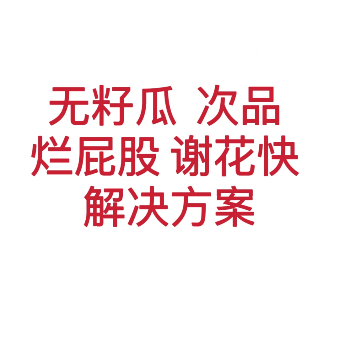 无籽瓜  次品 烂屁股 谢花快 解决方案