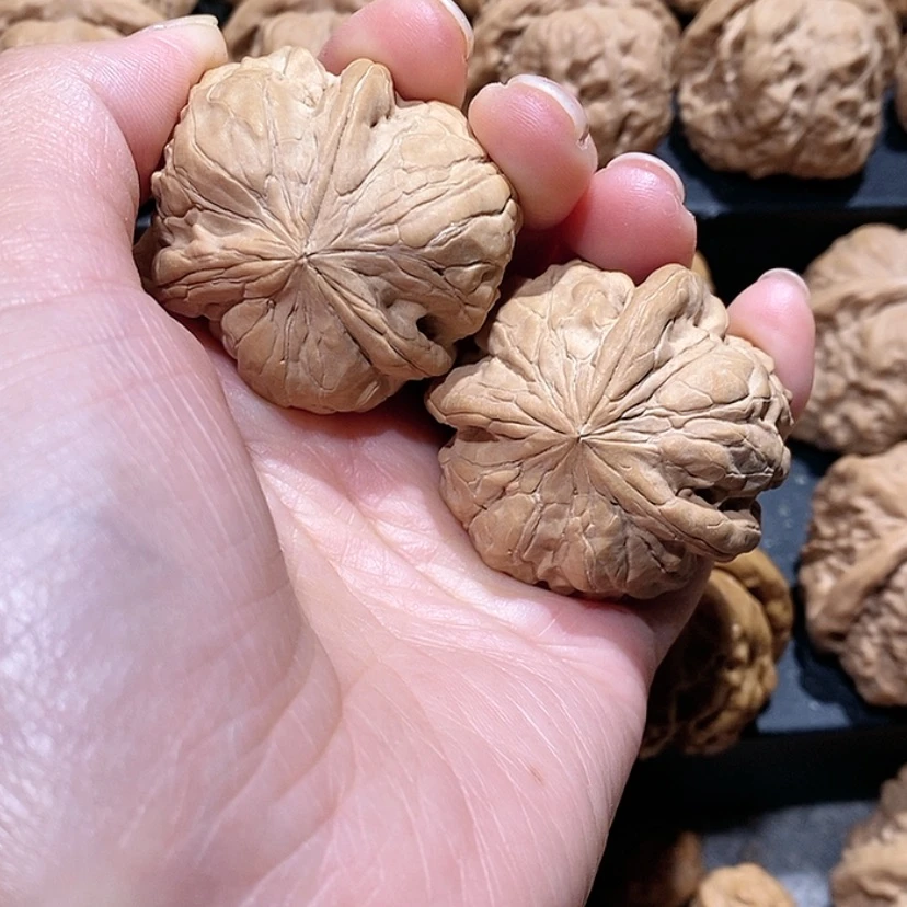 【闪购商品】核桃手串/手链浪**少蛤蟆头三棱