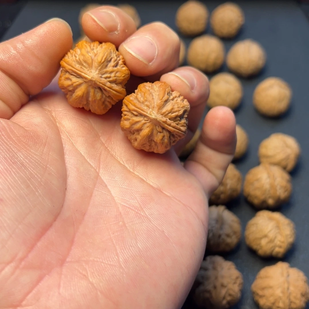 ****魔文玩核桃把件霸王龙