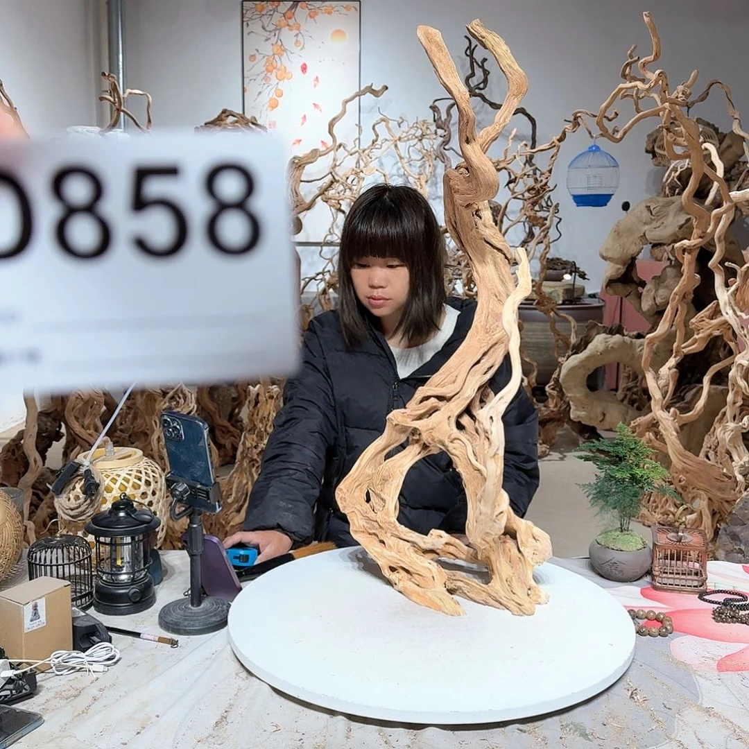 风车木（黑檀木）陈*陈