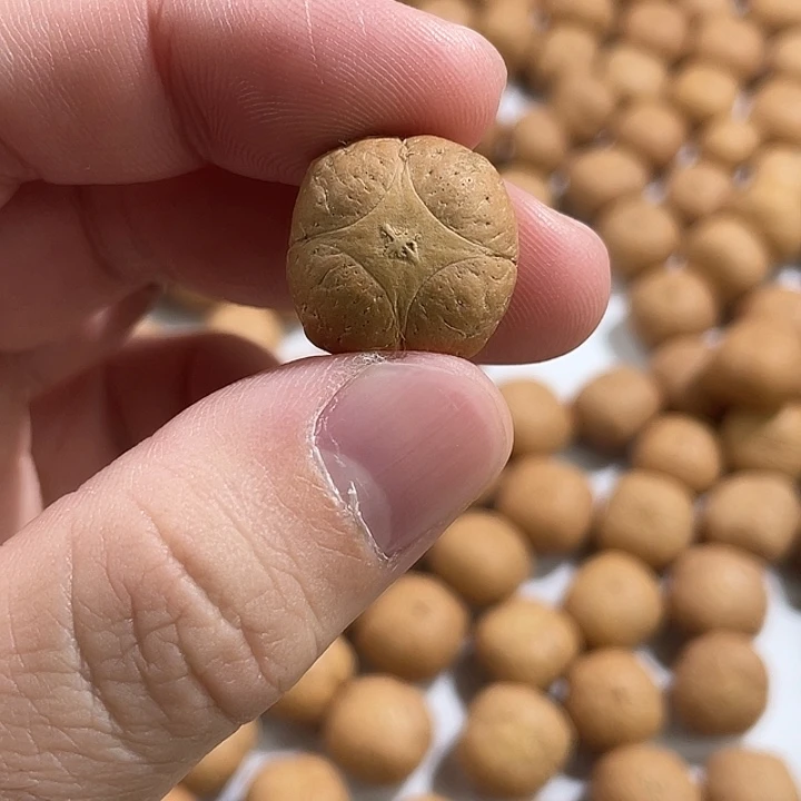 土***柿凤眼菩提手串尼泊尔小凤眼