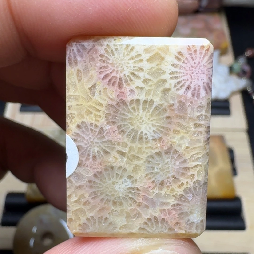 未镶嵌纯天然色有机玉石保真色硅化玉