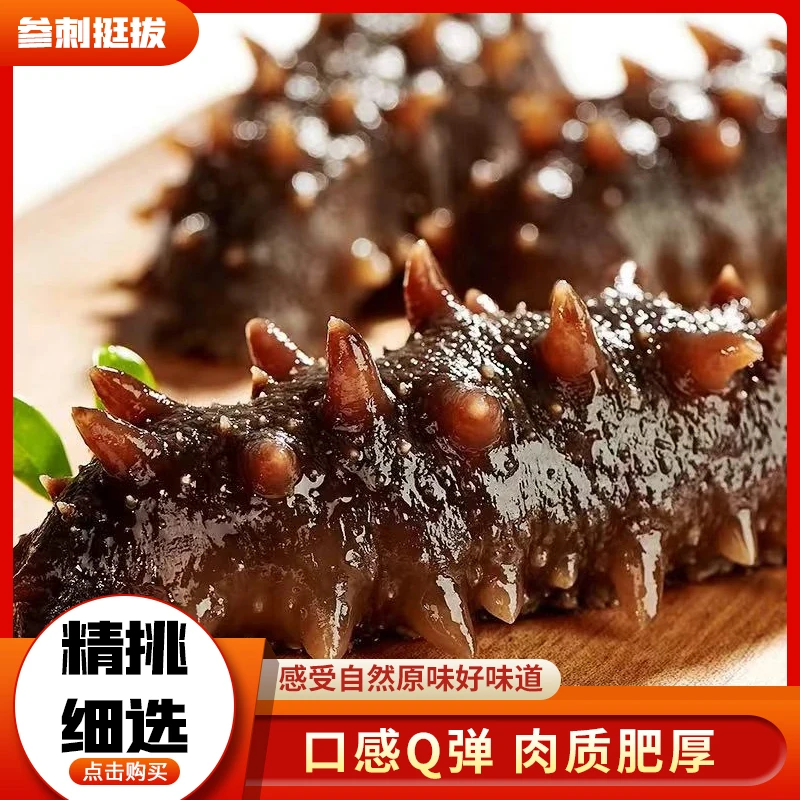 包邮滋补特产开袋辽参直播卖货即食鲜食正宗辽参海参礼盒