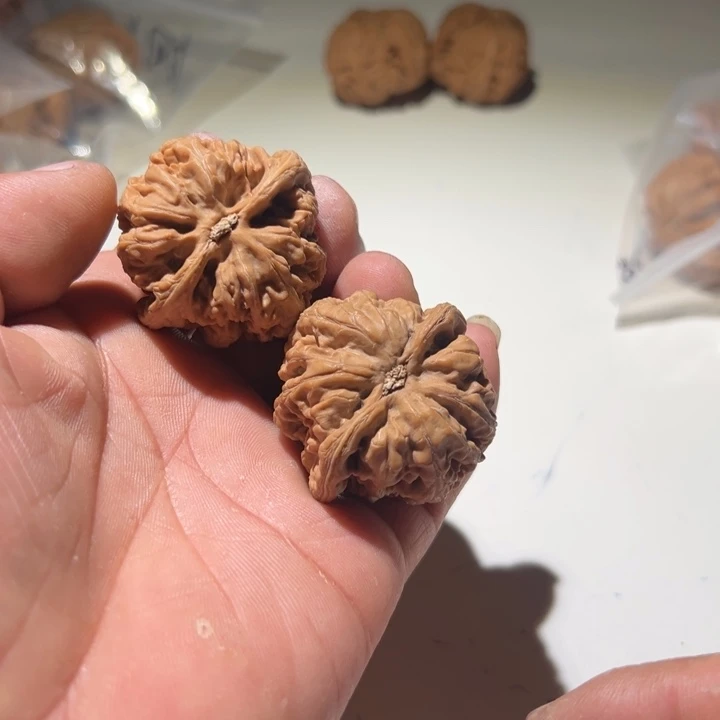 七***儿文玩核桃把件大粗筋