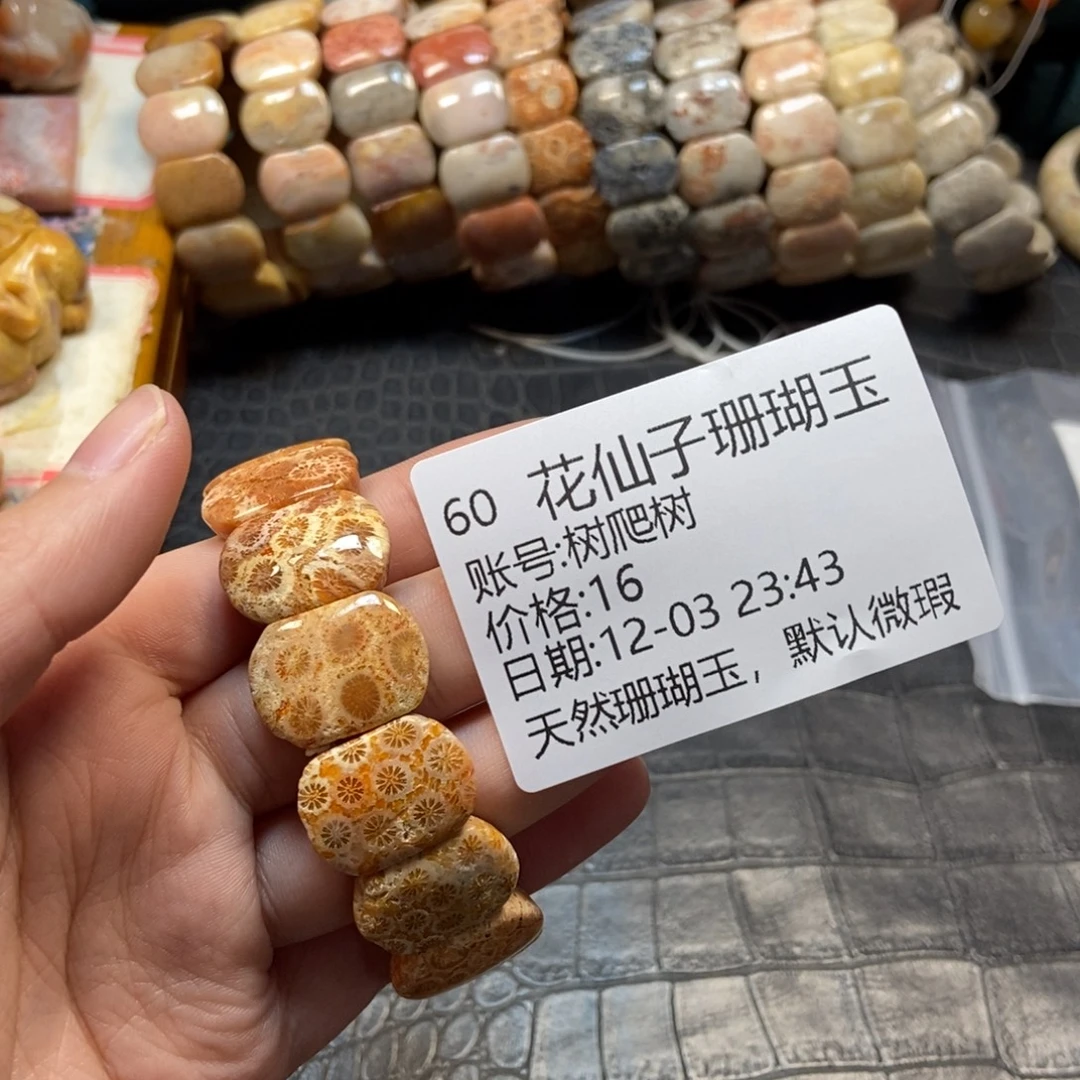 树***树硅化珊瑚（珊瑚玉）合金手镯60