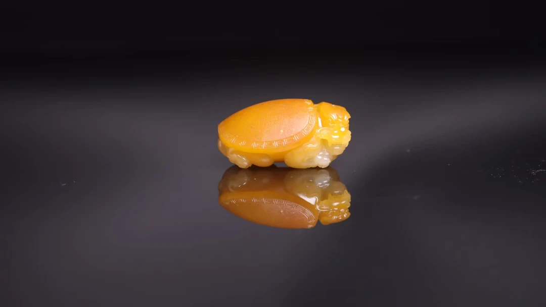 黄沁玉种龙龟 克重28克