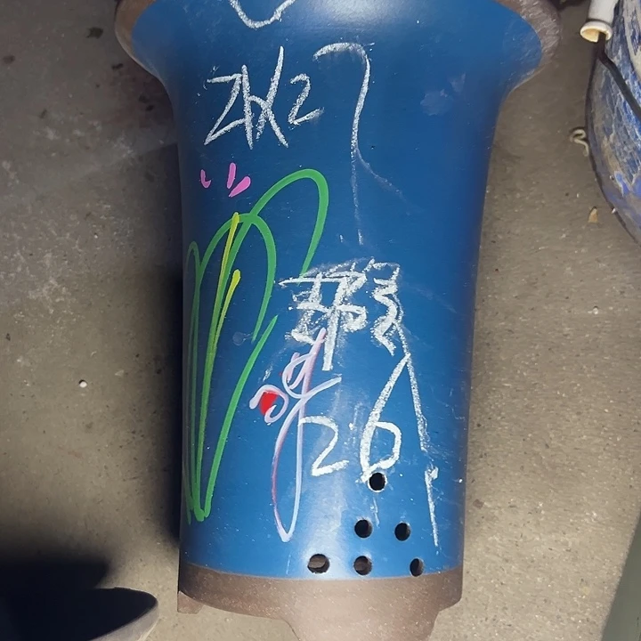 周深周深周深周深周深