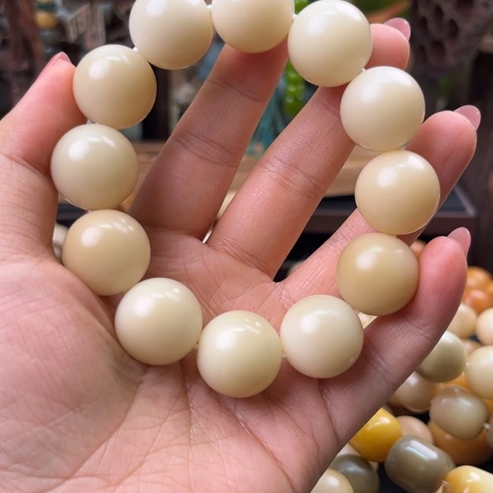 菩提根/象牙果手串通货福利出不退不换