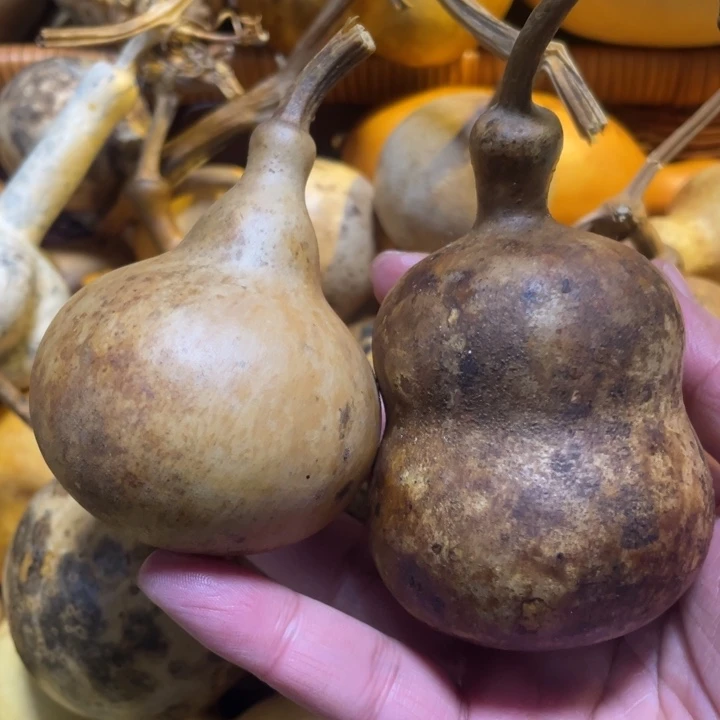 新年快乐万事大吉