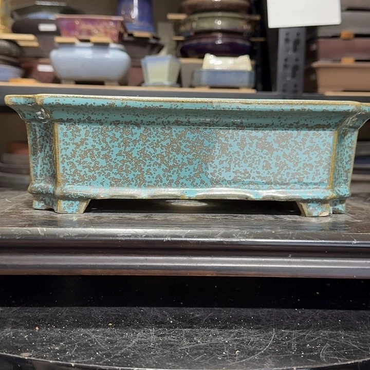 国***钊ggghhhvhhhjjhvvvghhvbhhgg