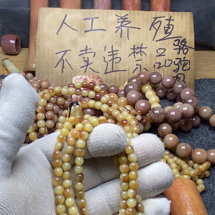 驼骨手串/手链鹿****品