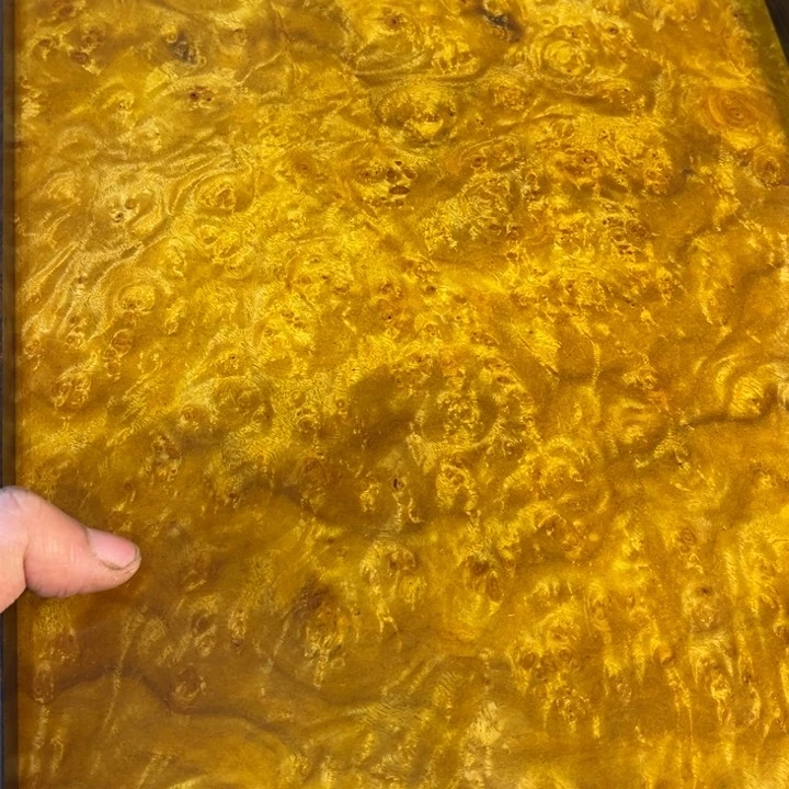 木黄金樟留疤超大托盘