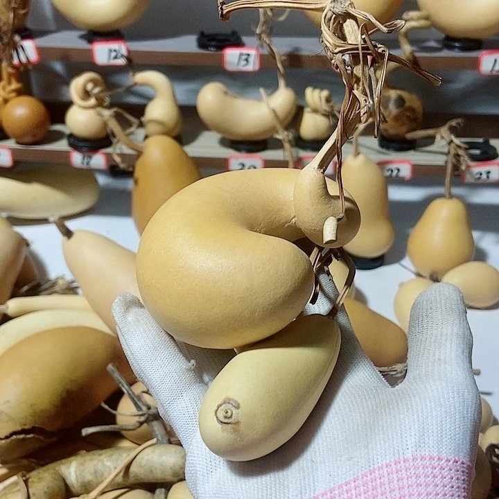 y***y有机玻璃直播间的拍品链接