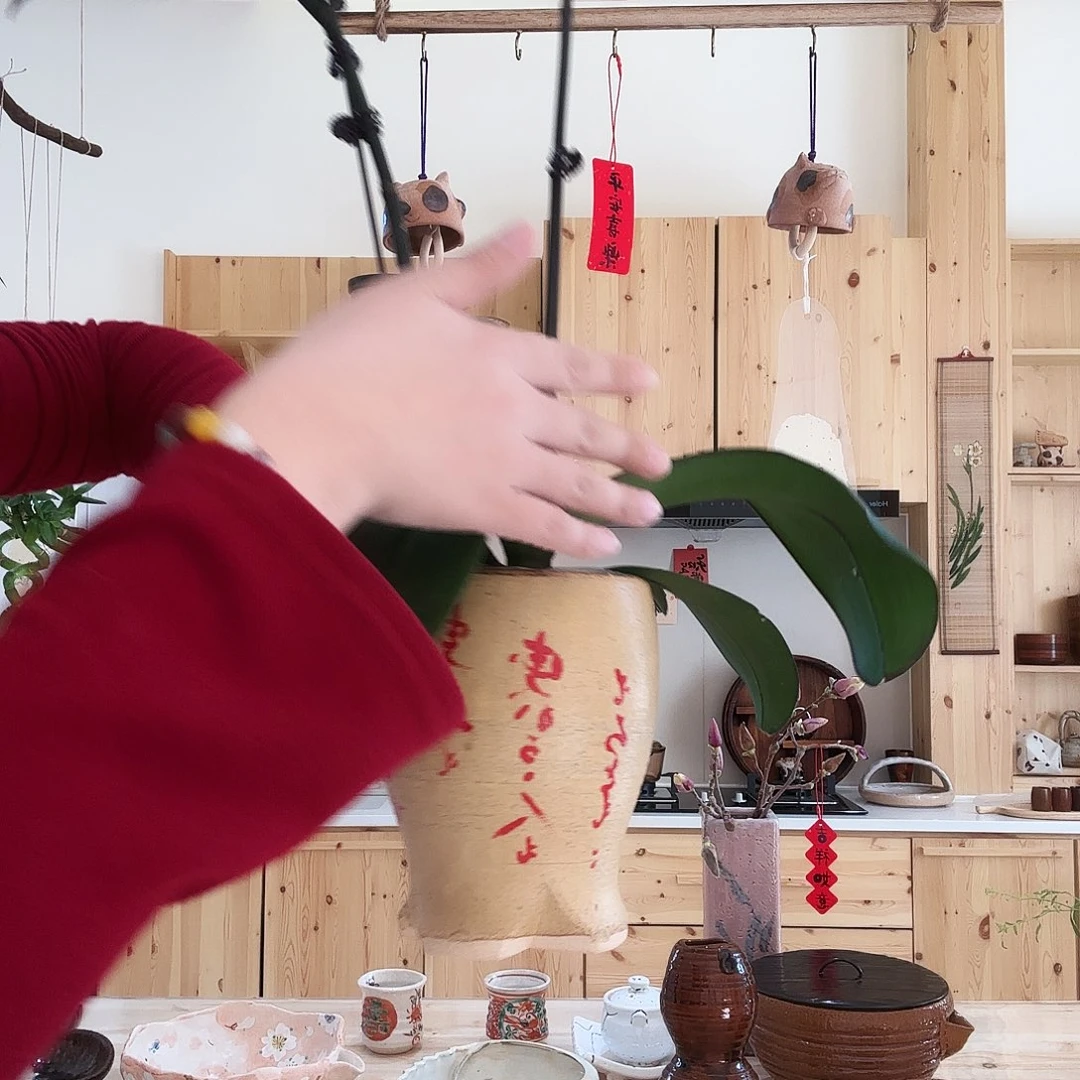 杯亮亮亮亮亮亮亮亮亮亮旅途