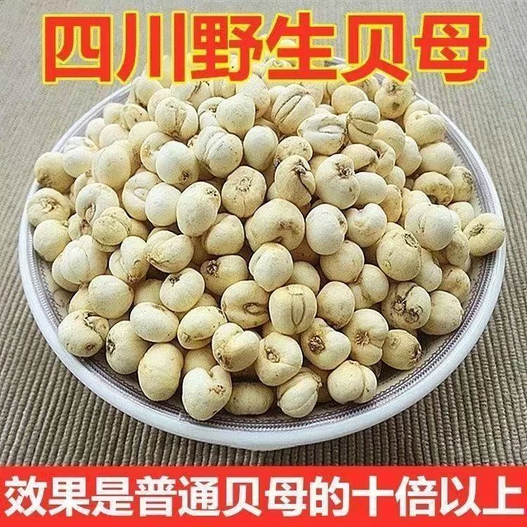 川贝母特级野生川贝母新货无硫川贝中药材贝母粒干松贝川贝粉