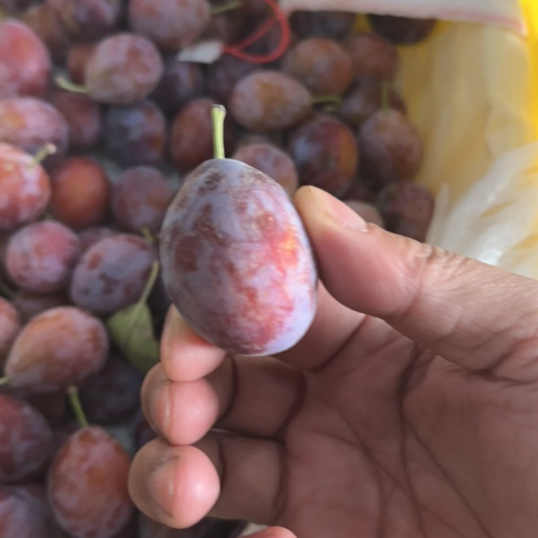 {顺丰次日达｝新疆喀什伽师法兰西西梅2斤装