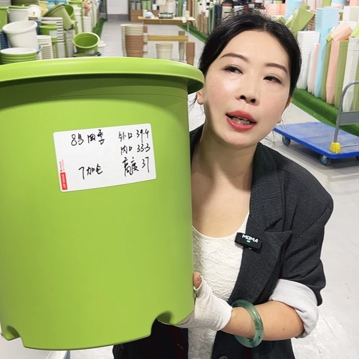 特价8号四季口39高37果绿5只无托