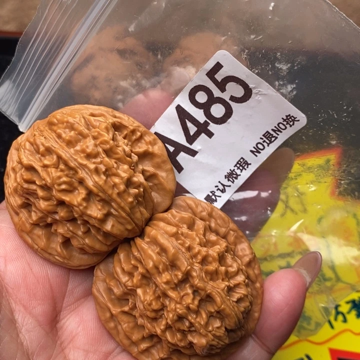 四座楼44尺485号123
