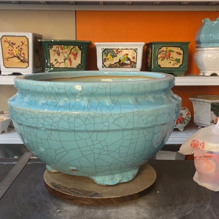 红陶涛****5花盆里的小猫咪