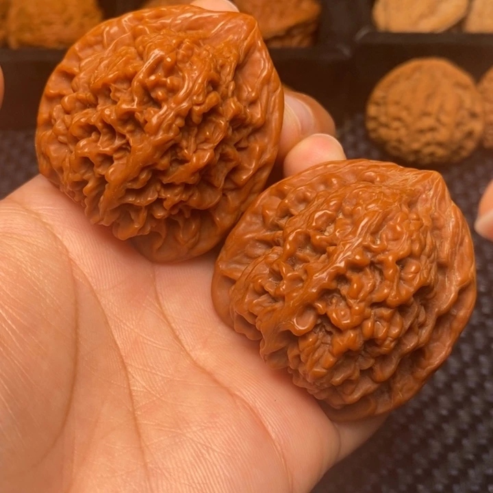 秦岭野生1111111111