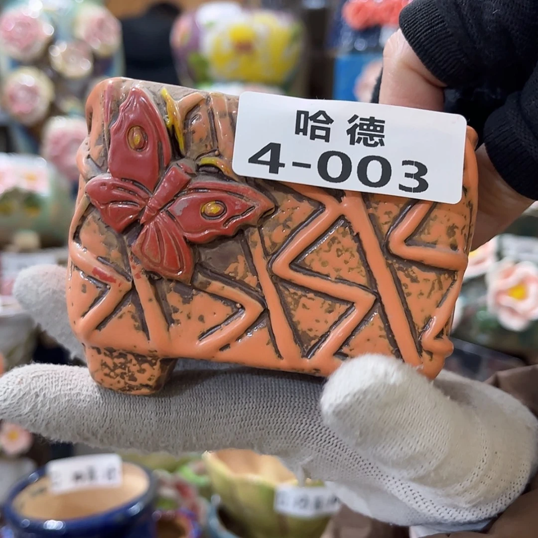 【闪购商品】红陶福利403