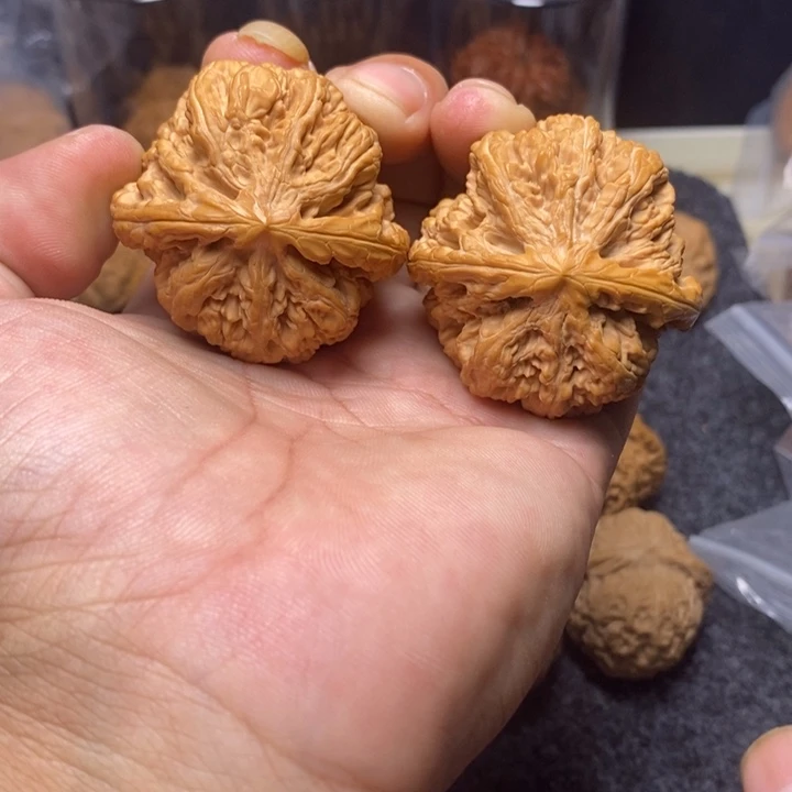 文玩核桃吊坠45大粗筋